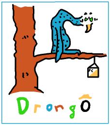 DrongO Logo